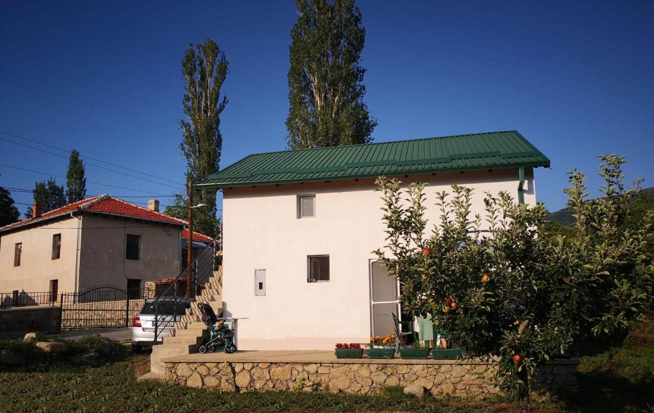 Villa Lila Dolno Dupeni Экстерьер фото