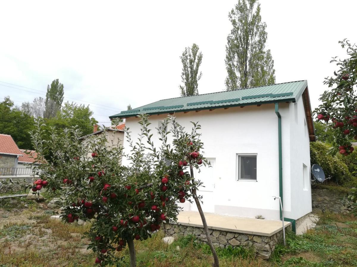 Villa Lila Dolno Dupeni Экстерьер фото