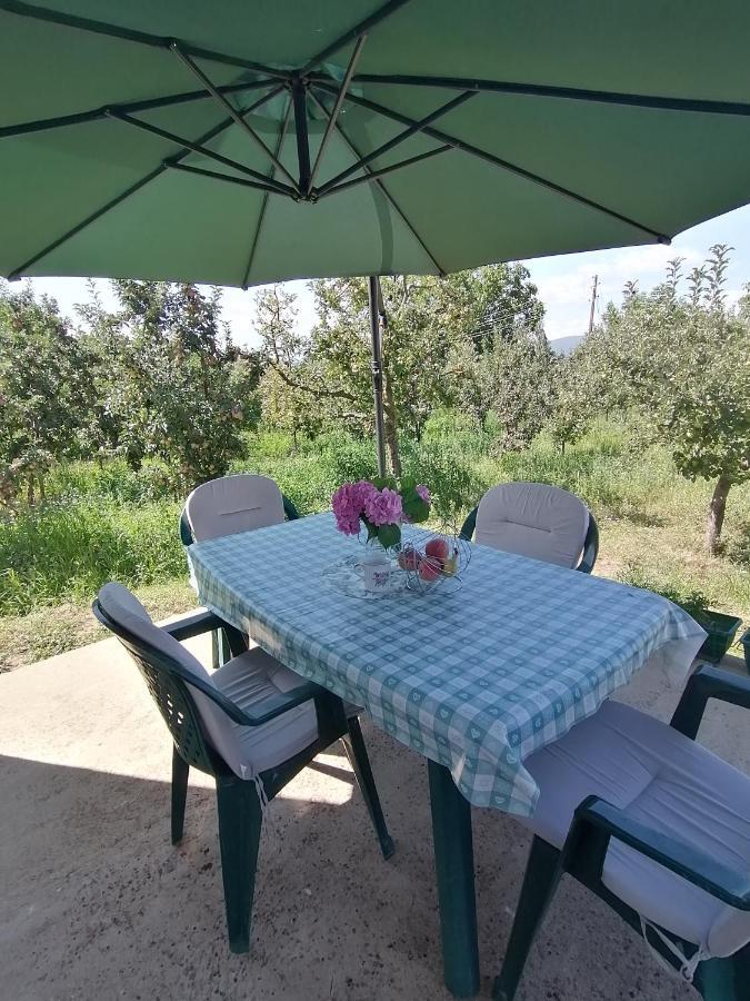 Villa Lila Dolno Dupeni Экстерьер фото