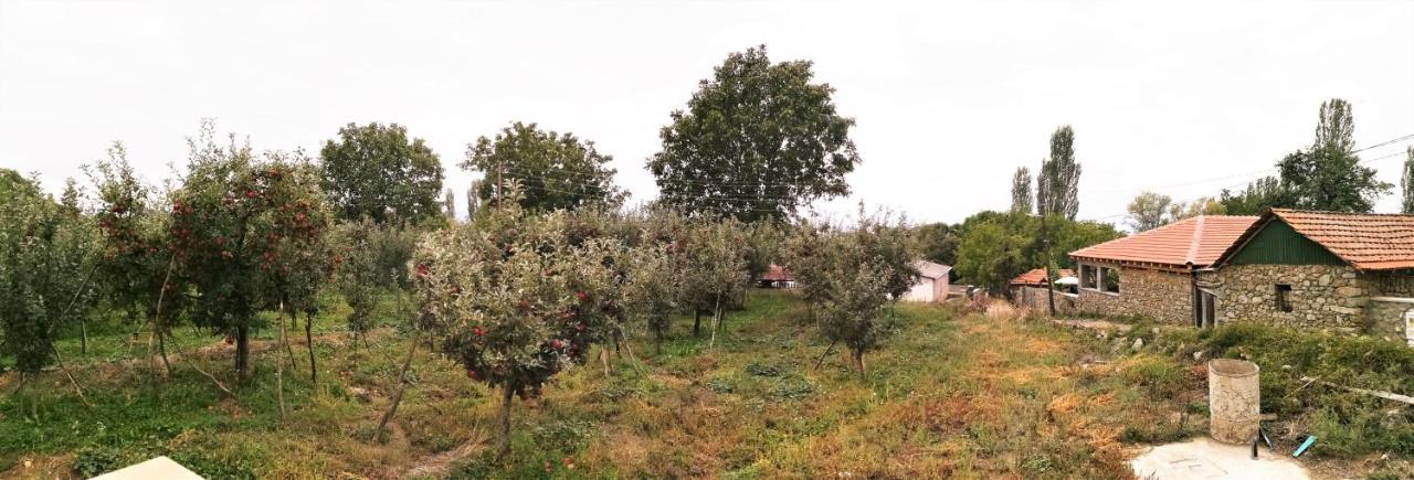 Villa Lila Dolno Dupeni Экстерьер фото