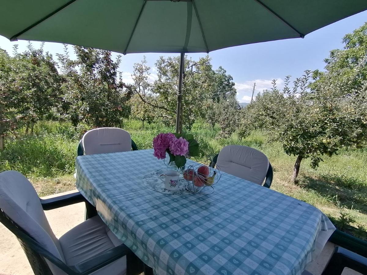 Villa Lila Dolno Dupeni Экстерьер фото
